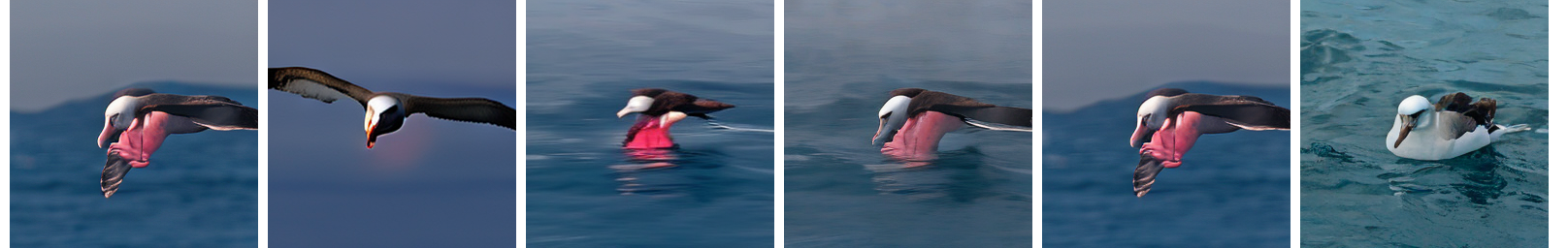 ImageNet NFE=6 Appendix 1