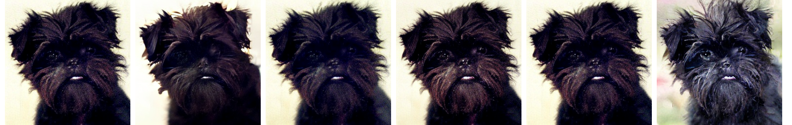 ImageNet NFE=8 Appendix 1